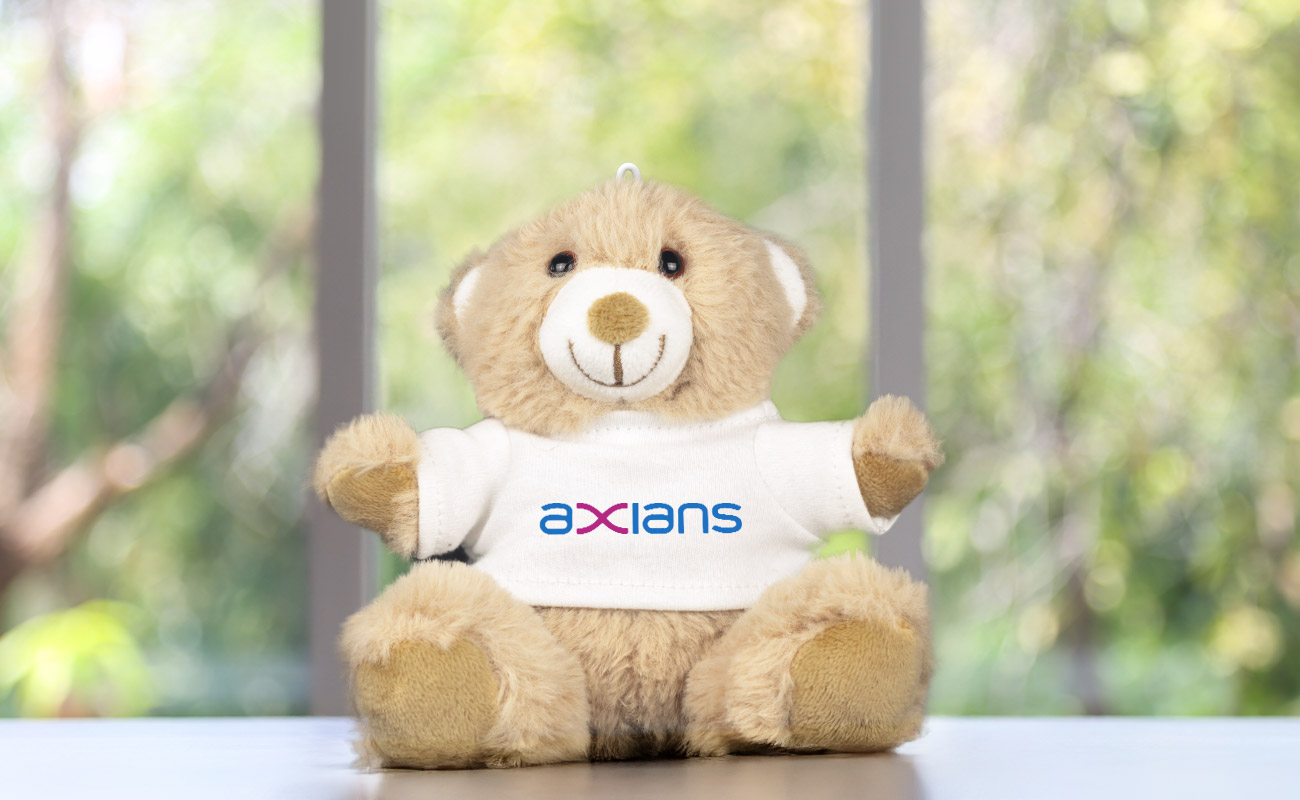 Paws - Personalisierte Teddybären mit Logo gallery thumbnail